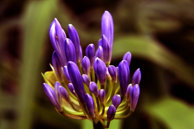 了大量资源 了大量资源