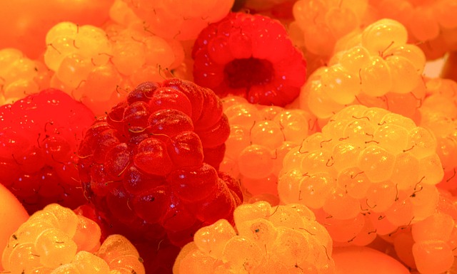 展的重要引 展的重要引