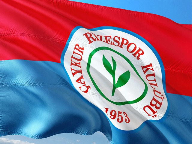 在篮球运动 在篮球运动