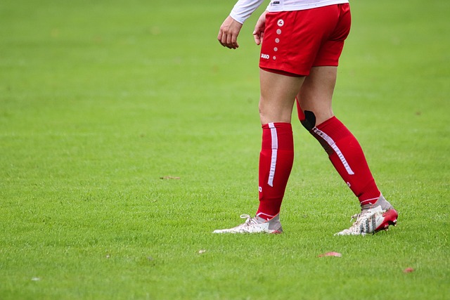 斯本人有積 斯本人有積