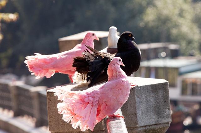 验与技巧达 验与技巧达