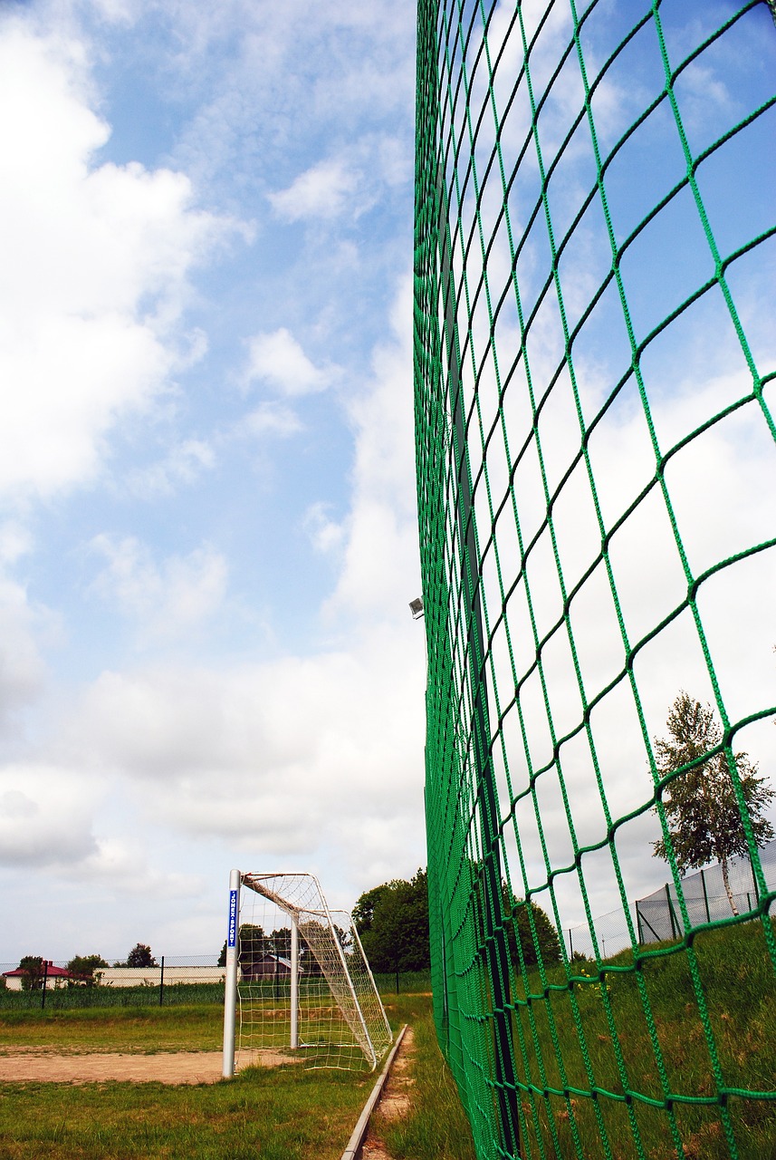 强强对话 强强对话